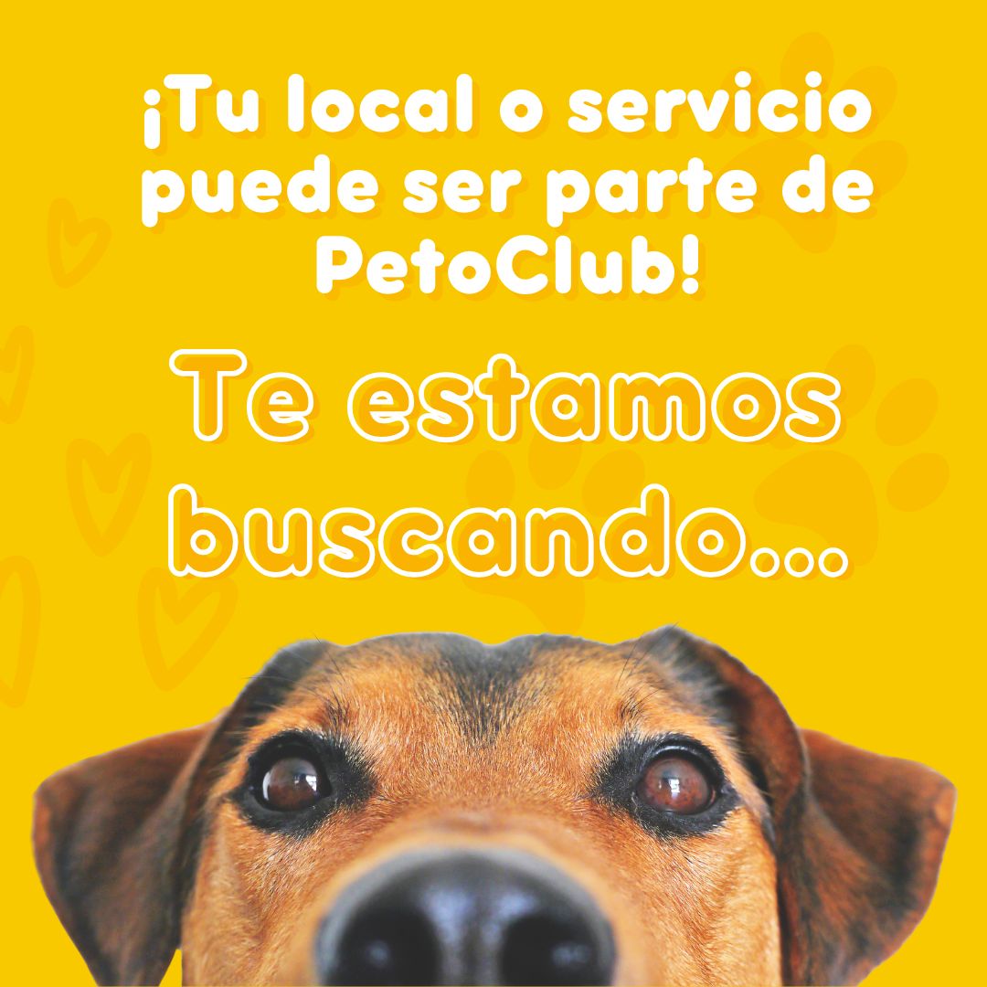 [Imagen de un perro sonriente usando audífonos y mirando un teléfono]