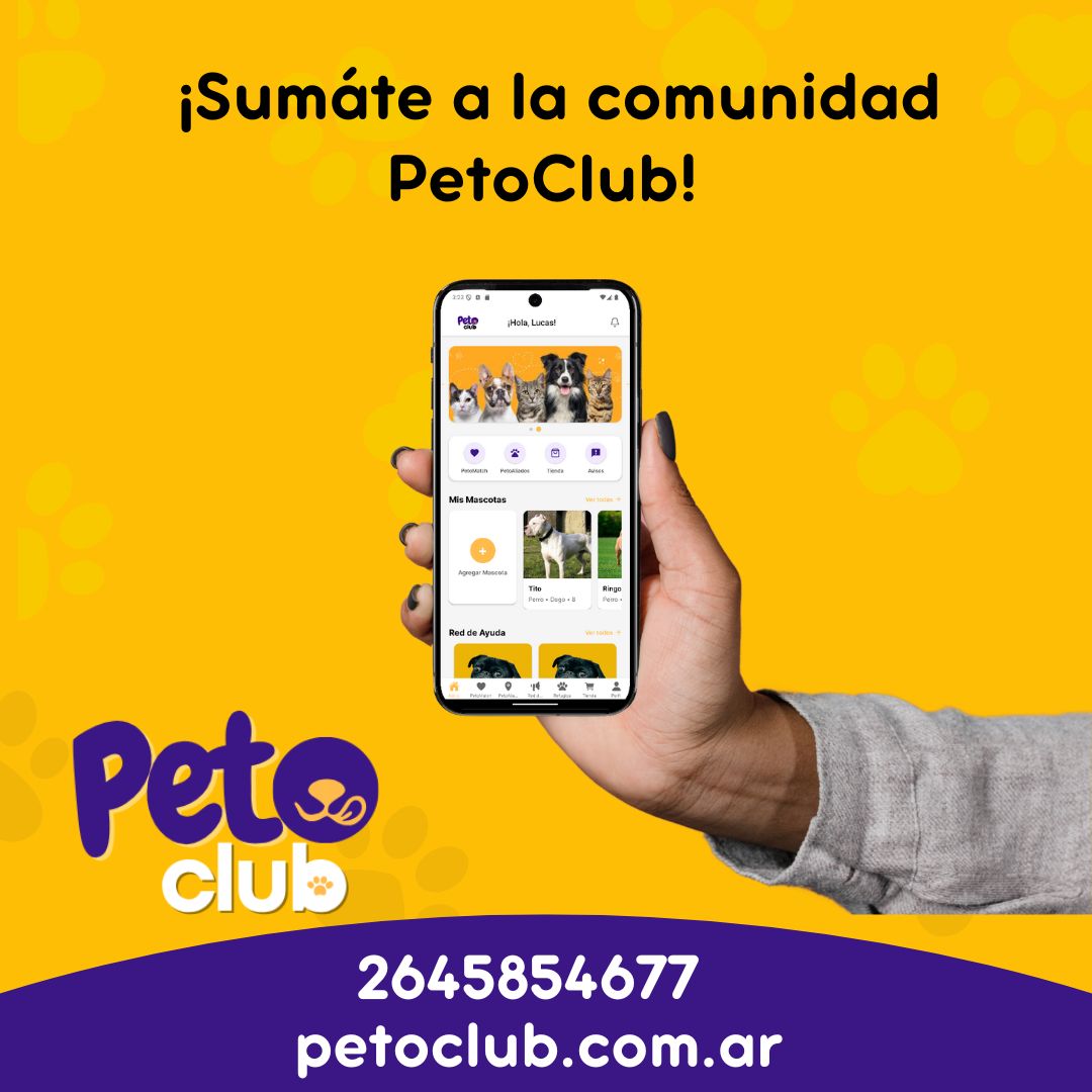 [Imagen de un cachorro adorable siendo sostenido en manos]